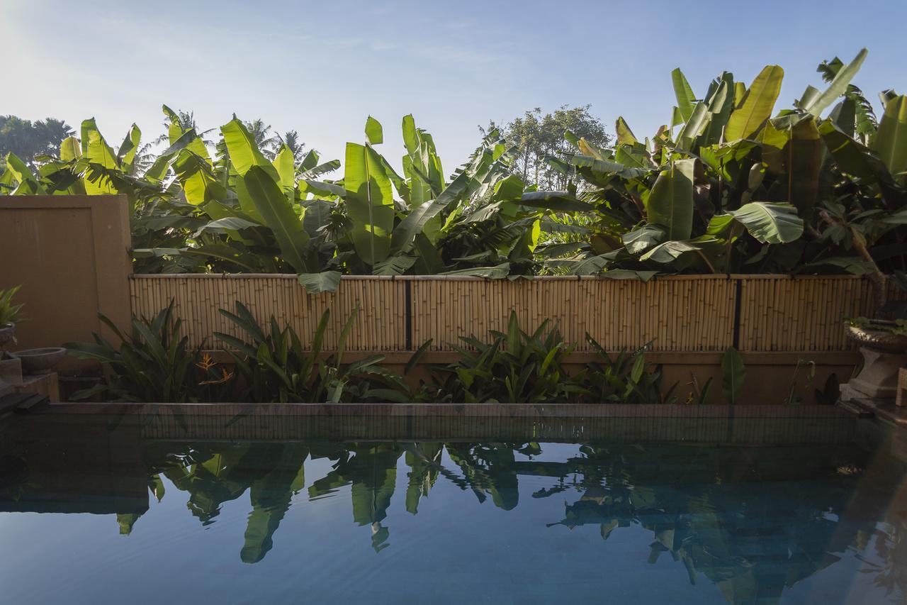 Umah Tikari Guesthouse Canggu Esterno foto